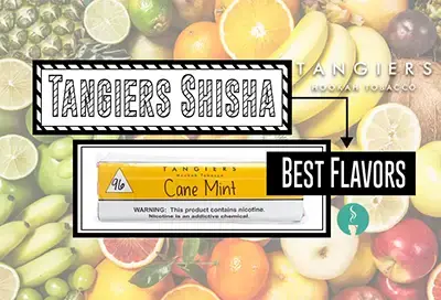 The Top 10 Tangiers Shisha Flavors